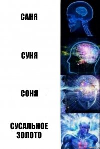 Саня Суня Соня Сусальное золото