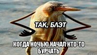  когда ночью начал кто-то бурчать