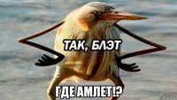  где амлет!?