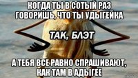 когда ты в сотый раз говоришь, что ты удыгейка а тебя все равно спрашивают, как там в адыгее