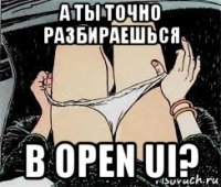 а ты точно разбираешься в open ui?