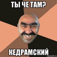 ты че там? кедрамский