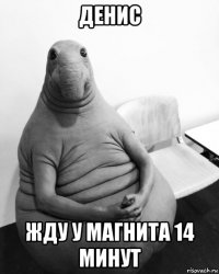 денис жду у магнита 14 минут