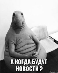  а когда будут новости ?