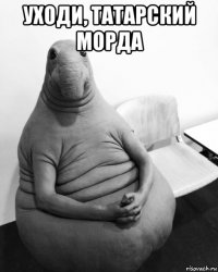 уходи, татарский морда 