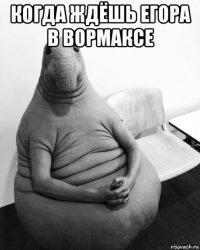 когда ждёшь егора в вормаксе 