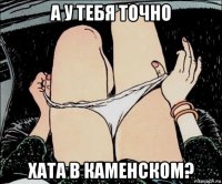 а у тебя точно хата в каменском?