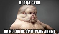 когда сука ни когда не смотрель аниме