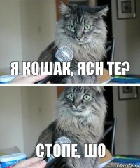 Я кошак, Ясн те? Стопе, шо