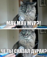 мяу мяу мур?! чё ты сказал дурак?