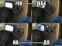 чо---------тебе на----------------до