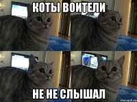 коты воители не не слышал