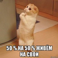  50 % на 50 % живём на свои