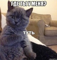 где ты у меня? 