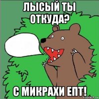 лысый ты откуда? с микрахи епт!