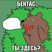 бектас ты здесь?