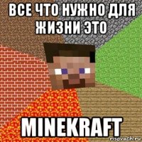 все что нужно для жизни это minekraft