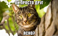 он просто друг ясно?