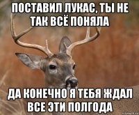 поставил лукас, ты не так всё поняла да конечно я тебя ждал все эти полгода