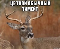 це твой обычный тимейт 