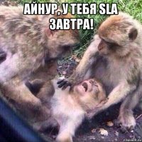 айнур, у тебя sla завтра! 