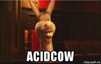  acidcow