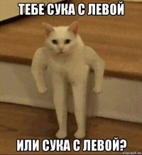 тебе сука с левой или сука с левой?