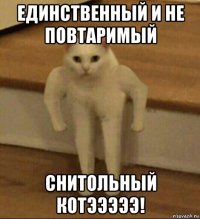 единственный и не повтаримый снитольный котэээээ!