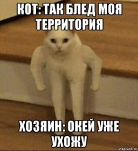 кот: так блед моя территория хозяин: окей уже ухожу