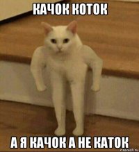 качок коток а я качок а не каток