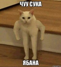 чуу сука ябана