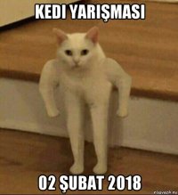 kedi yarişmasi 02 şubat 2018