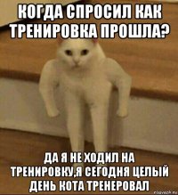 когда спросил как тренировка прошла? да я не ходил на тренировку,я сегодня целый день кота тренеровал