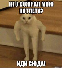 кто сожрал мою котлету? иди сюда!