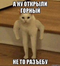 а ну открыли горный не то разъебу