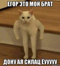 егор это мой брат дону ая силац ёууууу