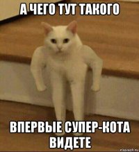 а чего тут такого впервые супер-кота видете