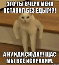 это ты вчера меня оставил без еды?!?! а ну иди сюда!!! щас мы всё исправим.