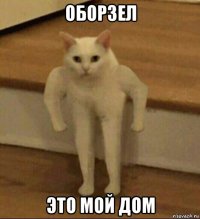 оборзел это мой дом