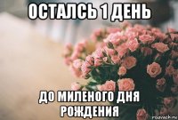 остaлсь 1 день до миленого дня рождения