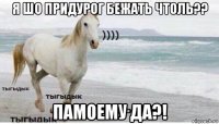 я шо придурог бежать чтоль?? памоему да?!