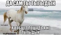 да сам ты тыгыдык я вобщет лошадь а не тыгыдык