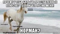 почему у тебя больше проставленные плюсов? ты пришел позже меня! норман?