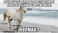 почему у тебя больше проставленных плюсов? ты пришел позже меня! норман?