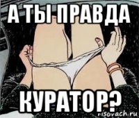 а ты правда куратор?