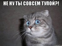 не ну ты совсем тупой?! 