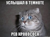 услышал в темноте рев кровососа