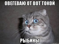 овегеваю от вот токой рыбины