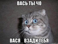 вась ты чо вася_ взади тебя