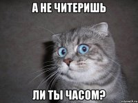 а не читеришь ли ты часом?